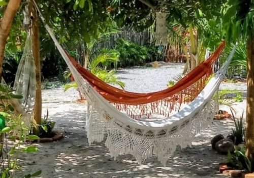 19bbc0ef-b056-4430-98c5-3bc8d4525dd0