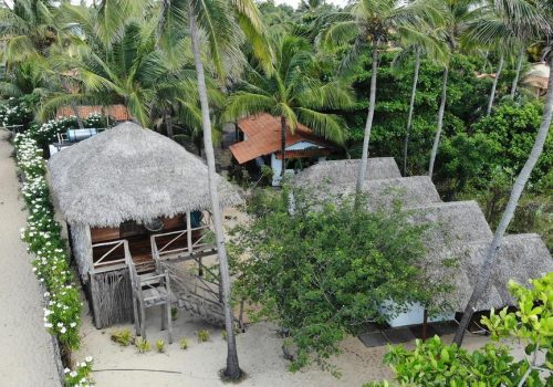 202906975_322515352925503_8363045676271471131_n