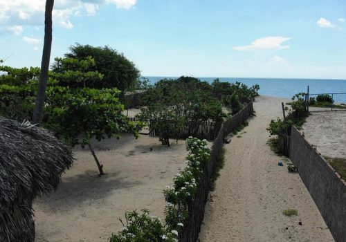 203403710_238960977661430_7575188674903336438_n