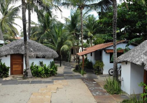 204651605_569884164170138_7823052807880706344_n