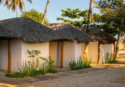 251432516_1011922609653938_1305741591018405590_n