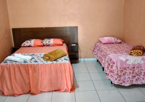 273756999_337821674914034_2339641350619087150_n