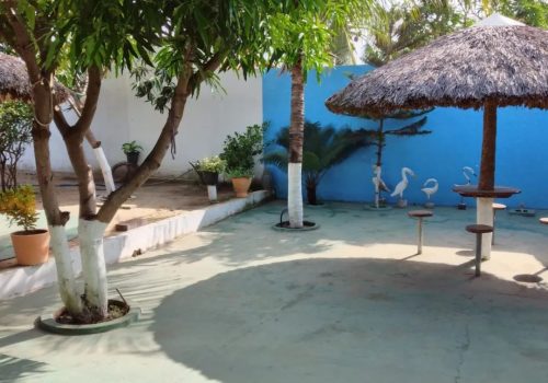 273907545_624151768662096_6511392849353783664_n