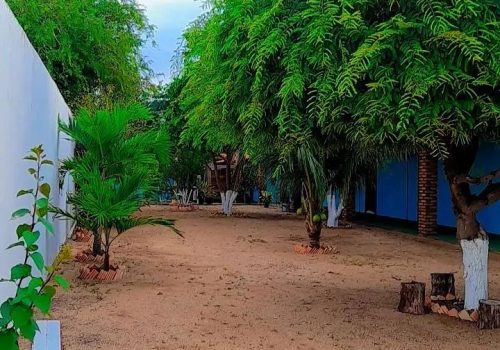 274675470_479031673702778_5858363405251177125_n