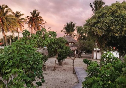 284008829_1164701527645080_6668784085700024275_n