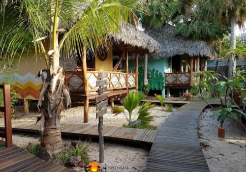 BG069_terrapatris (1)