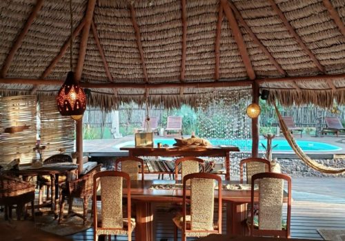 BG069_terrapatris (6)