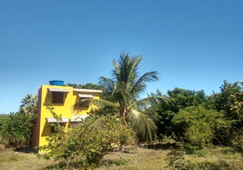 BG0casacaracolbg (17)