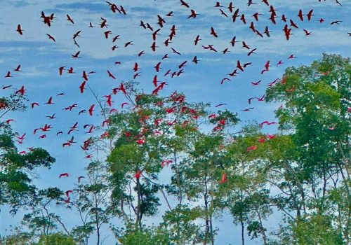 EXP004_PasseioDelta (1)