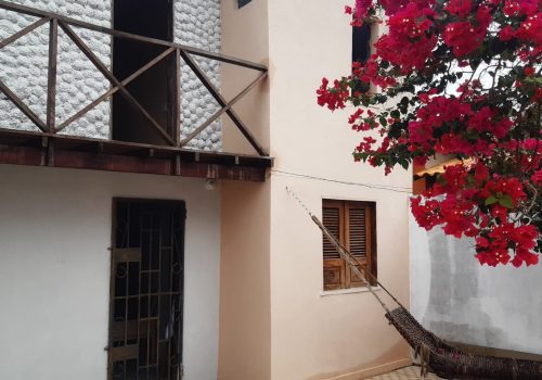 WhatsApp Image 2022-03-03 at 12.24.00