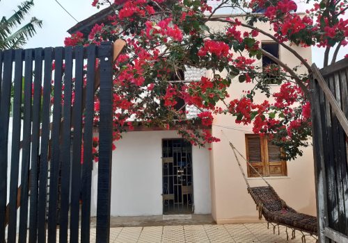 WhatsApp Image 2022-03-03 at 12.24.02