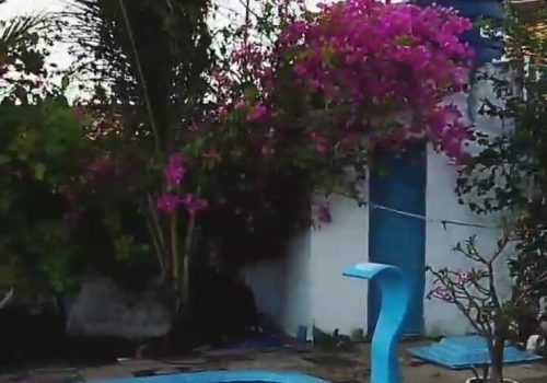 WhatsApp Image 2022-08-03 at 09.02.04