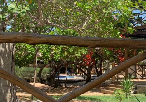 WhatsApp Image 2022-12-01 at 16.43.47 (1)