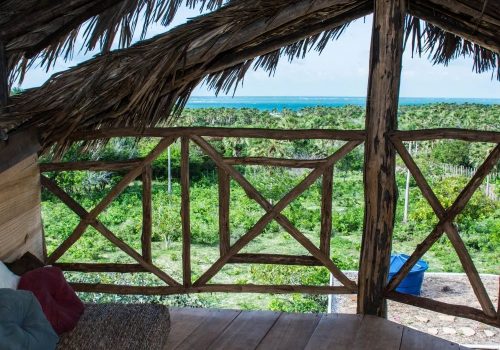 WhatsApp Image 2022-12-14 at 12.17.46 (1)