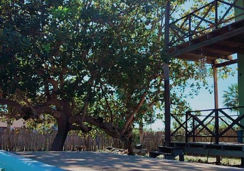 WhatsApp Image 2025-07-23 at 10.06.48